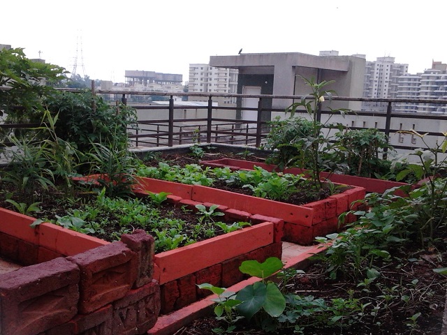 An urban garden in Pune, India