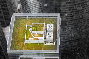 Research Recap, June 6: Green Roof Benefits, New Biofuel Source, Climate Change Adaptation