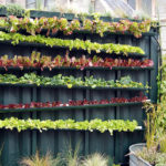 New Report: The Potential for Urban Agriculture