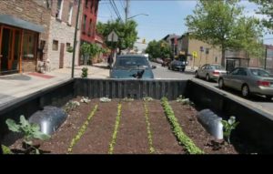 Let's Get Growing! Urban Farms Take to City Streets