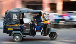 Sustainable Urban Transport in India: Role of the Auto-Rickshaw Sector