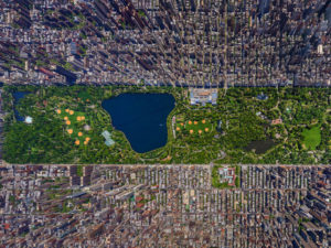 Central Park from above.