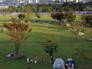 caption: Cities around the world celebrate the many positive impacts of trees on Arbor Day. Photo by longzijun/Flickr.