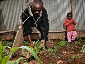 Urban gardens, like the one pictured above in Kibera, Nairobi, allow residents to come together for healthier, happier communities. Photo by Colin Crowley/Flickr.