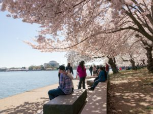 On International Day of Forests, a Look at How Trees Help Make Cities Healthier