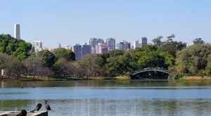 Help for São Paulo’s Complex Water Woes: Protect and Restore Forests