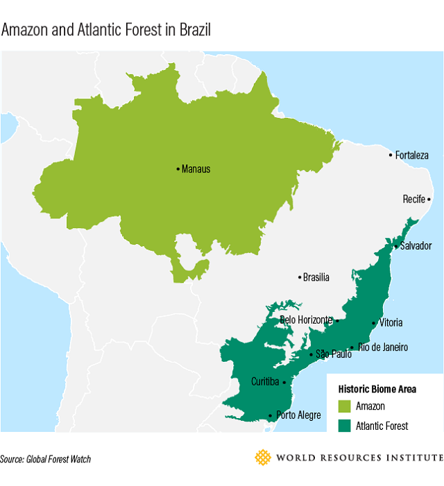 A Tale of Two Cities in Brazil (and the Forest that Connects Them)