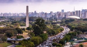 A Tale of Two Cities in Brazil (and the Forest that Connects Them)