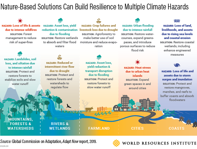 indtryk Hårdhed Rustik 3 Steps to Scaling Up Nature-Based Solutions for Climate Adaptation |  TheCityFix