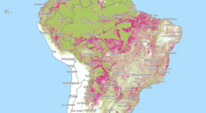 Map of tree cover loss in Brazil