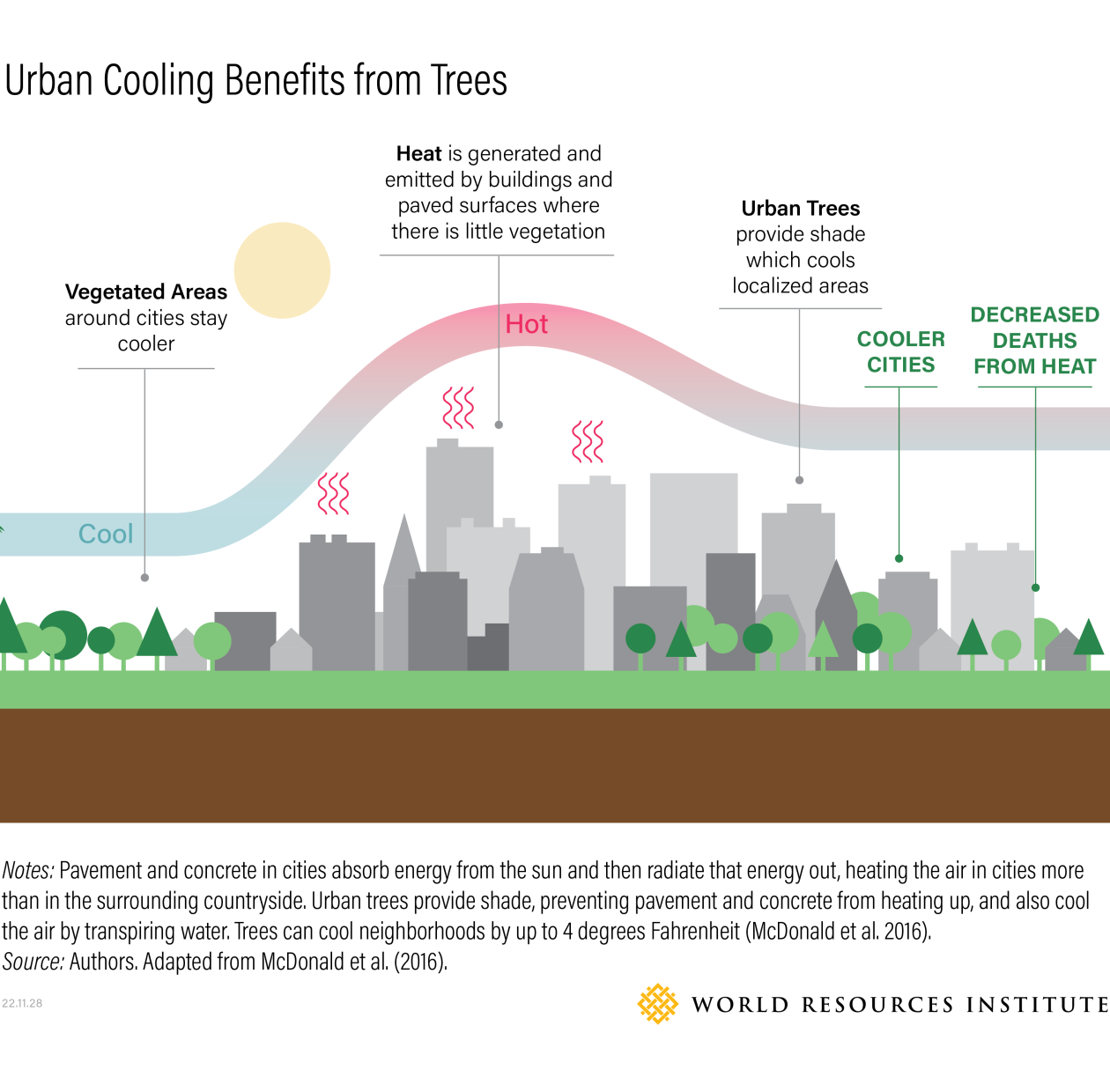 How Forests Near and Far Benefit People in Cities TheCityFix