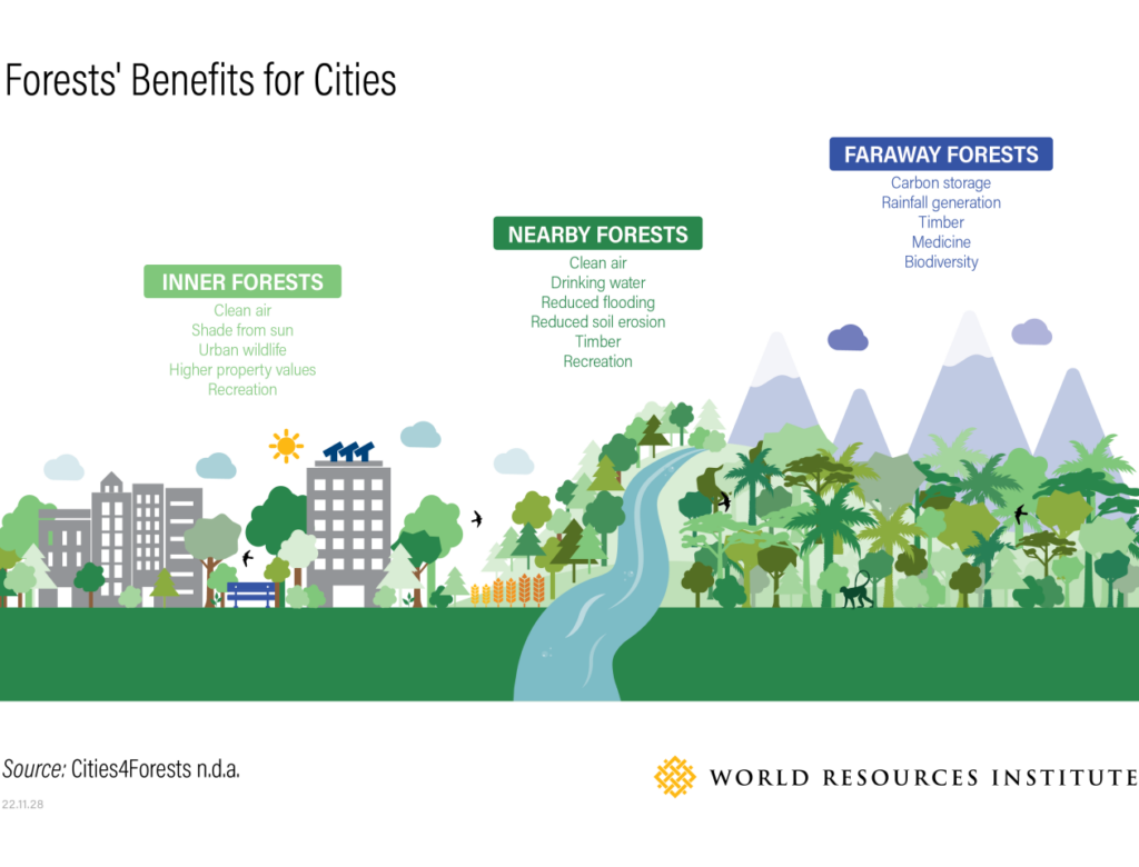 Exploring the Positive Environmental Benefits of Urban Native