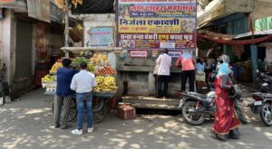 Does Political Decentralization Improve Urban Governance? Balancing Efficacy and Representation in Rajasthan’s Small Towns