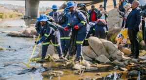 Greening the Jukskei River: Scaling Nature-Based Solutions for Climate Resilience in Johannesburg, South Africa