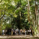 Laying the Foundation for Green, Resilient Cities in Latin America