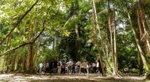 Laying the Foundation for Green, Resilient Cities in Latin America