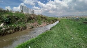 New Tool Helps Cities Select and Scale Nature-Based Solutions