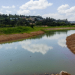 Breathing New Life Into 5 Kigali Wetlands To Enhance Climate Resilience and Quality of Life