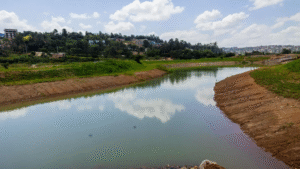 Breathing New Life Into 5 Kigali Wetlands to Enhance Climate Resilience and Quality of Life