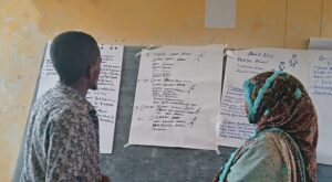 Challenging Discriminatory Cultural Norms to Build Fair, Resilient Communities in Sub-Saharan Africa