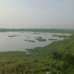 How Chennai Is Restoring Kadapakkam Lake With Nature-Based Solutions 
