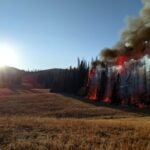 Utah Pioneers a New Model for Wildfire Resilience