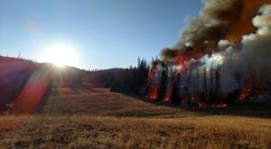 Utah Pioneers a New Model for Wildfire Resilience