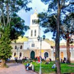 Urban Trees: An Underused Tool for Keeping People Cool
