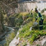 African Cities Use Nature to Fight Floods and Climate Change
