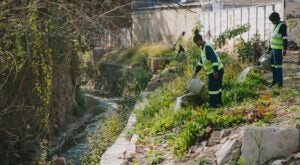 African Cities Use Nature to Fight Floods and Climate Change