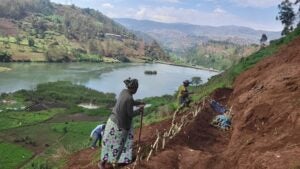 Tackling Central Africa's Water and Power Challenges Starts With Restoring Nature