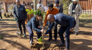 Restoring Nature Helps Accelerate Soweto’s Green Economy