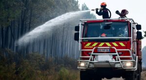 The Best Defense Against 'Natural' Disasters Is Nature Itself