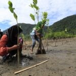 What’s at Stake at the Next UN Climate Summit (COP31)? Experts Weigh In